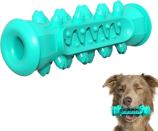 juguete dental perro