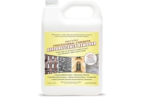 DUMOND Smart 'n Easy Efflorescence Remover - Heavy Duty Professional Strength Formula - Removes The Toughest Salt, Calcium, and Magnesium Deposits from Concrete, Brick, Stucco, Pavers, & More - 1 Gallon