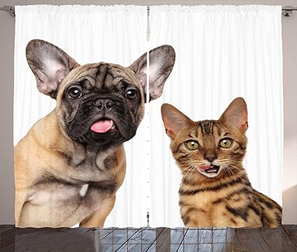 Abakuhaus Bouledogue Rideaux Chat Et Chien Choque Regarder Fixement Decoration Interieure Accent Ensemble De 2 Panneaux 280 Cm X 225 Cm Blanc Et Multicolore Amazon Fr Cuisine Maison