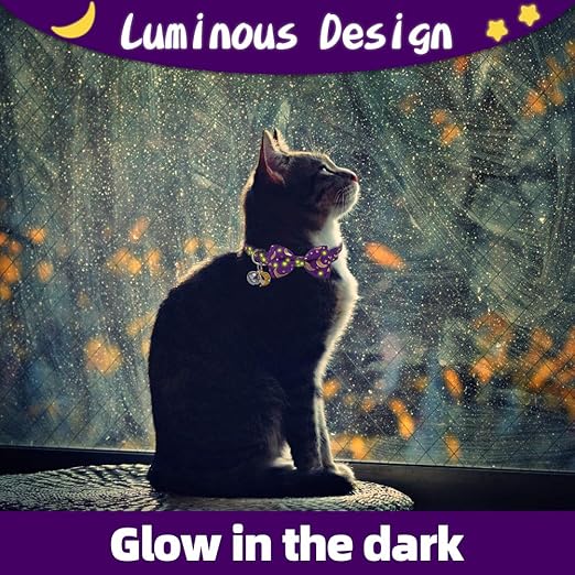 luminous cat collar