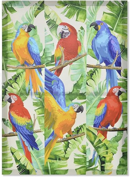 Avenuelafayette Cadre Toile Tableau Perroquet Oiseau Exotique 70 X 50 Cm Perroquets Amazon Fr Cuisine Maison