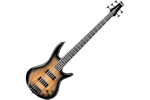 Ibanez GSR205SMNGT - Spalted Maple Top Natural Grey Burst