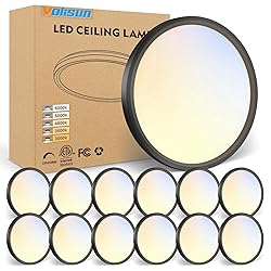 VOLISUN 12Pack 5CCT LED Flush Mount Ceiling