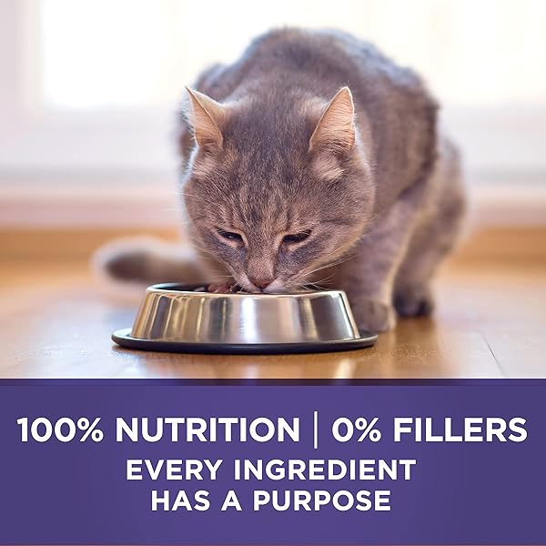 PURINA ONE NATURAL CAT FOOD FOR HAIRBALL CONTROL, +PLUS HAIRBALL FORMULA – 3.5 LB. BAG