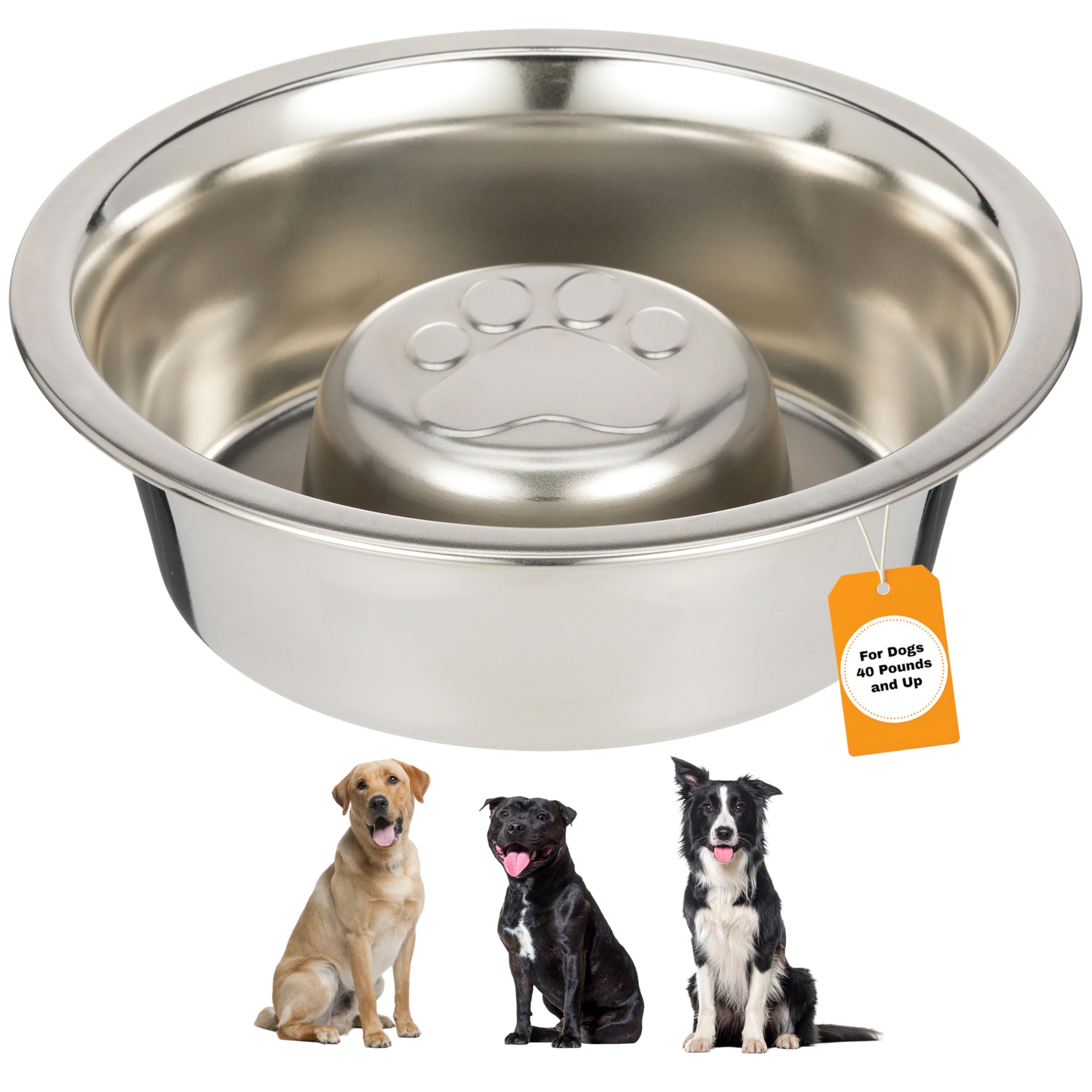 Neater Pet Brands Slow Feed Bowl Stainless Steel - Standard Bowls Fit Elevated Feeders (3 Cups, Stainless Steel)