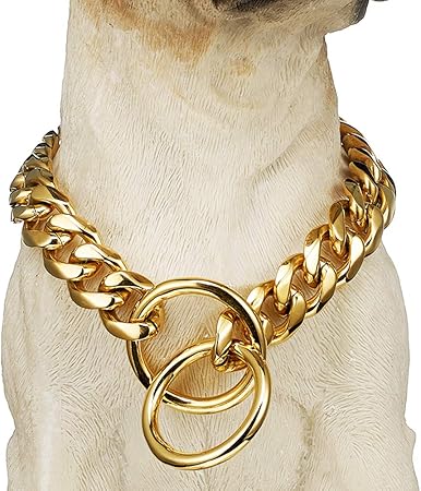 gold plated dog collar