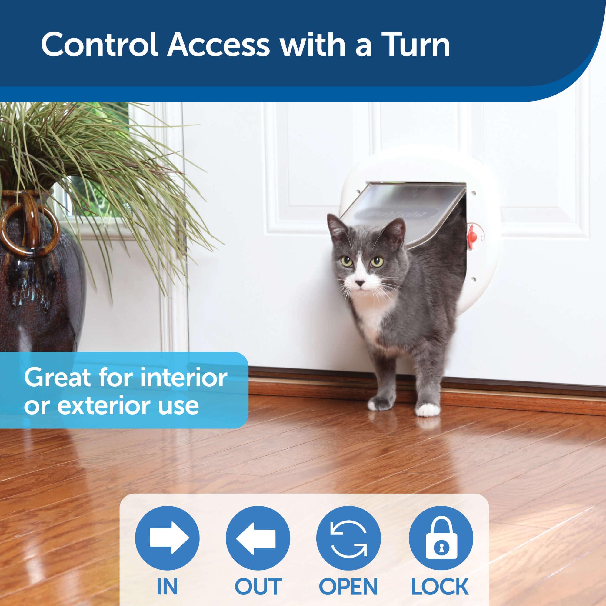 PetSafe Exterior/Interior Cat Door - Big Cat 4-Way Locking Pet Door Flap for Large Cats - Tinted Privacy Door - Weatherproof, Durable Door Frame - DIY Easy Install with Hardware Kit Included