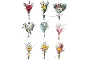TooGet 9Pcs Mini Dried Flower Bouquets Real Small Boho Floral Bouquet Natural Dried Flowers for DIY Crafts Cake Gift Packagin