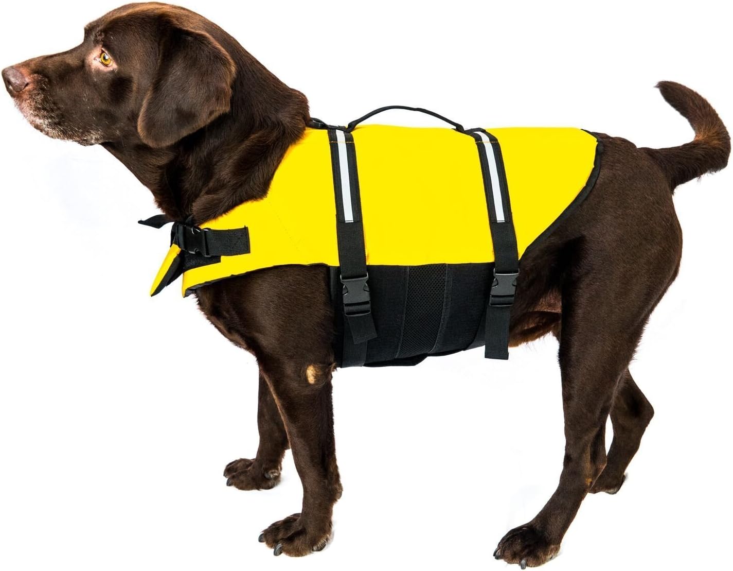Clever Paws Life Jacket for Dogs, Reflective Harness, With Dog Lead