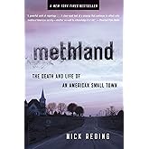 Methland: The Death and Life of an American Small Town (Wolf Brother)