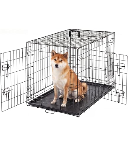 Amazon.com: Aidoly Medium Dog Crate 36 Inch, Metal Wire Foldable