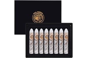 Paul Rubens White Oil Pastels (8 Pack) - Ultra-Creamy & Blendable, Bullet Tip for Precision - Premium Art Supplies for Drawin