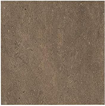 Dal-Tile 12241P6-AF01 - Baldosa de affinito, (Industrial Park), 12" x