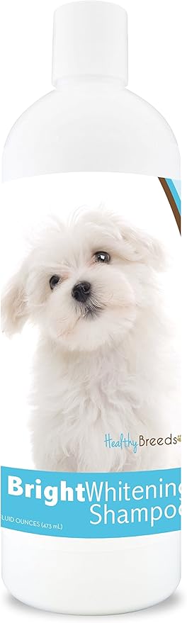 golden retriever bright whitening shampoo