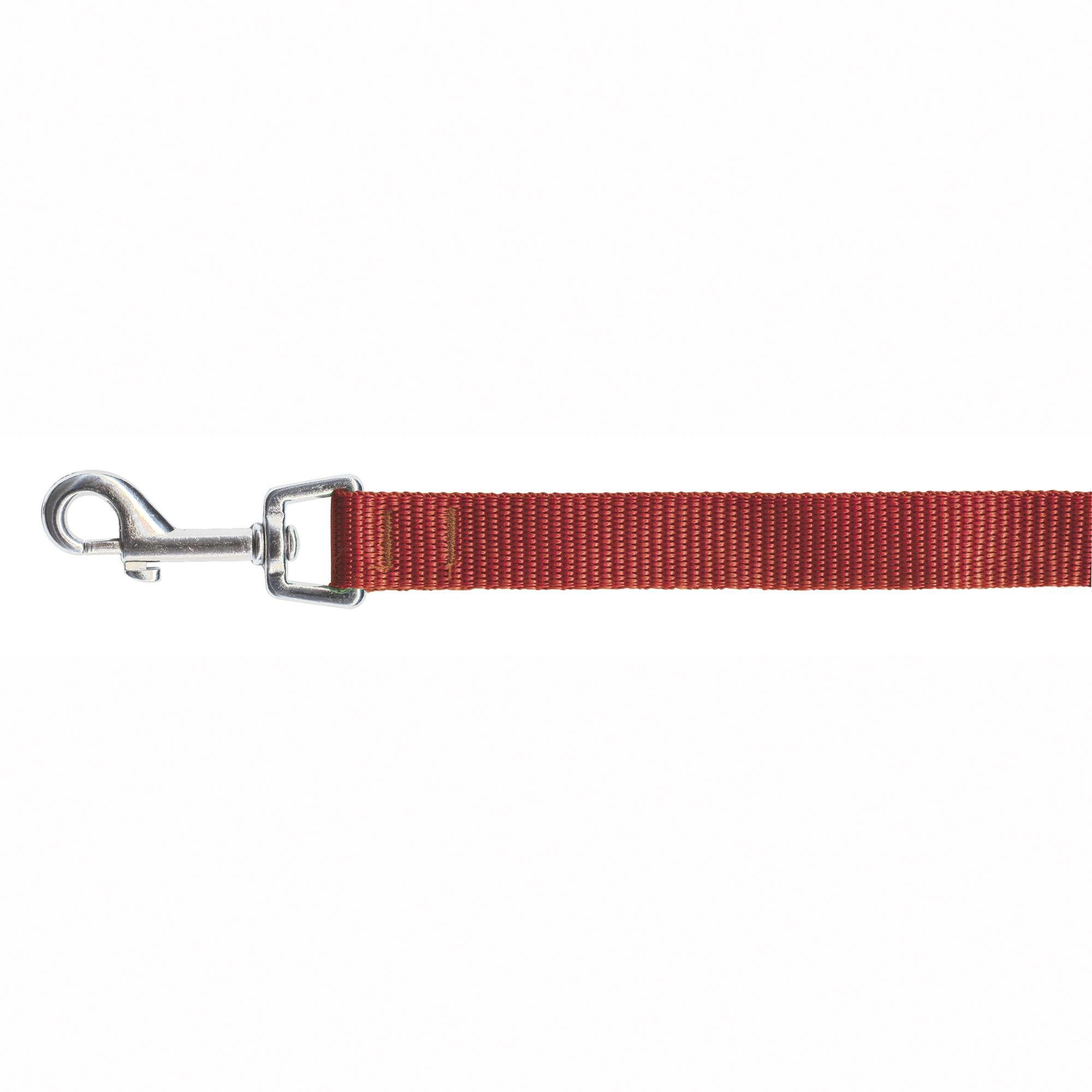 XT-DOG DR2010 Smooth Classic Boby Strap