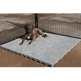 Single Large 2' X 4' Raised Dog Kennel Run Flooring Panel Gray