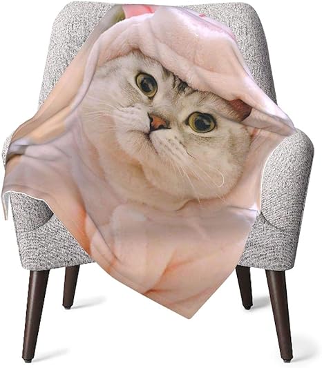 Amazon 動物柄 猫ちゃん かわいい 毛布 子供用 ブランケット ベビー マイクロファイバー 暖かい 超極細繊維 超柔らかい 肌に優しい 膝掛けでもいい ふわふわ 洗える おしゃれ 可愛い 保育園 家用 101 76cm ブランケット 毛布 オンライン通販
