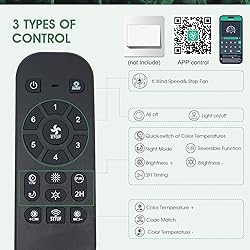 Modern Ceiling Fans with Lights and Remote/APP