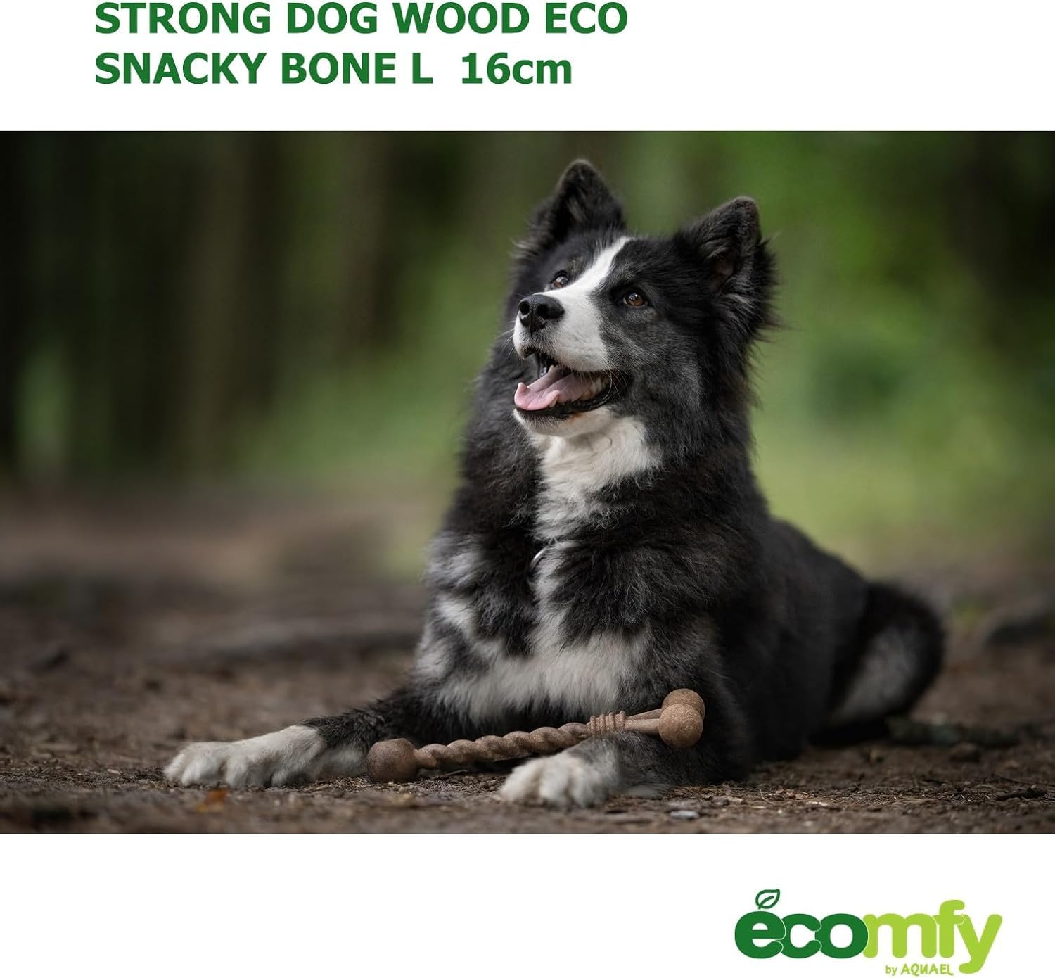 View 5