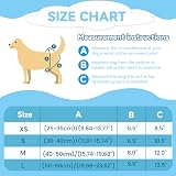 Grantop 3Pcs Washable Dog Nappies Sanitary Wraps Diapers Small Medium Large view 3