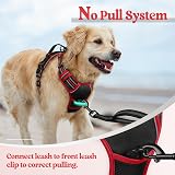 rabbitgoo Dog Harness Small No Pull Reflective Adjustable Vest with 2 Leash view 6