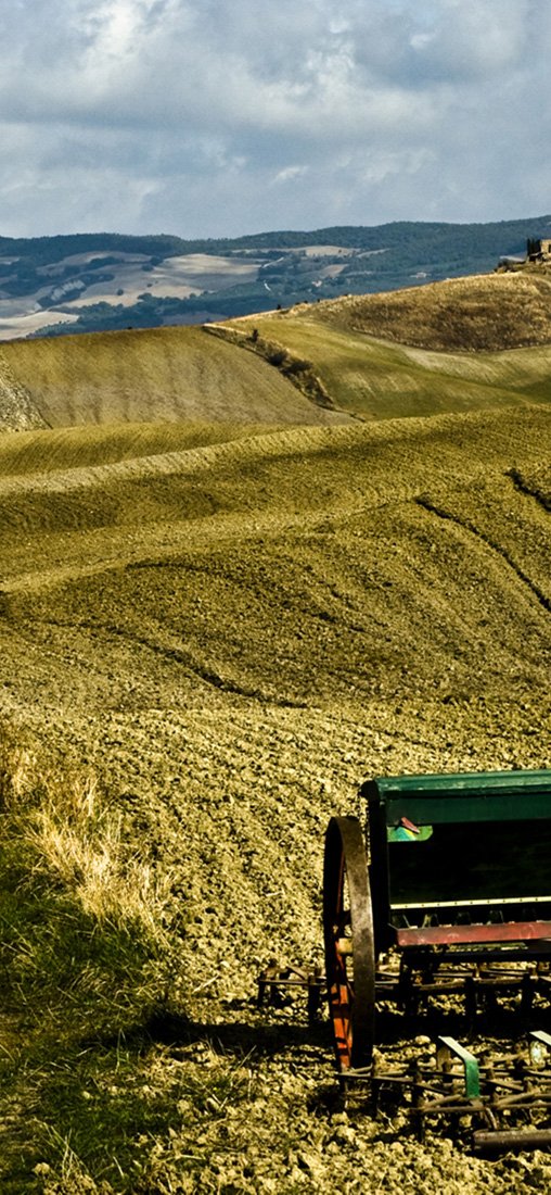 PeelitStickit, Beautiful Nature Wall Murals, ID-1395, vinyl