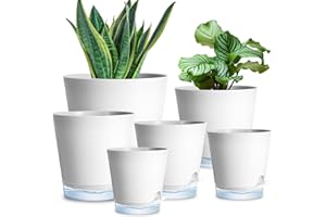 6 Pack Plant Pots with Clear Reservoirs 7/6.5/6/5.5/5/4 Inch Self Watering Planters for Indoor Plants Visible Water Level Flo