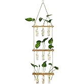 Hyindoor Wall Hanging Propagation Stations 3 Tired Wall Planter Terrarium with Wooden Stand and Glass Test Tubes Plant Hanger Flower Vase for Home Office Wall Decor Hydroponic Cuttings