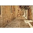 CSFOTO 5x3ft Jerusalem Old Narrow Street Backdrop Old Jerusalem Stone Backdrop Spring Flowers Sunshine Background for Photography Backdrop Ancient Stone Wall Backdrop Cave Backdrop