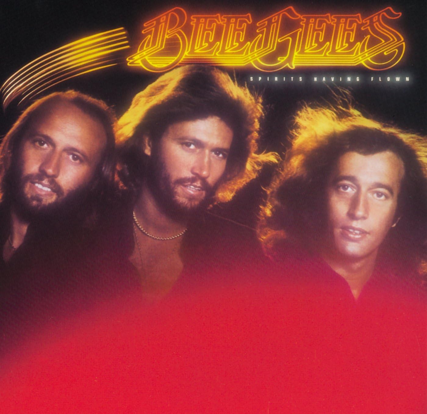 Cosa Vuol Dire Bee Gees In Italiano