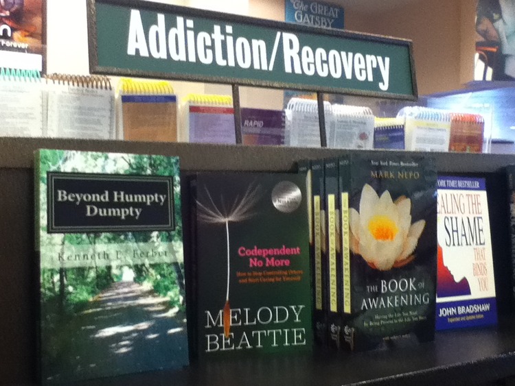 Beyond Humpty Dumpty Recovery Reflections On The Seasons Of - 