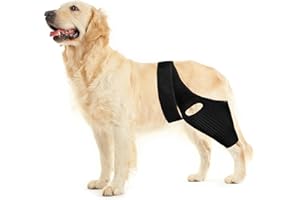 Dog ACL Knee Leg Brace - Huimpet Dog ACL Brace for Front Torn and Back Hind Rear Leg ACL Tear, Dog Leg Brace for Hip Dysplasia, Dog Arthritis, Luxating Patella, Comfortable and Adjustable (M Size)