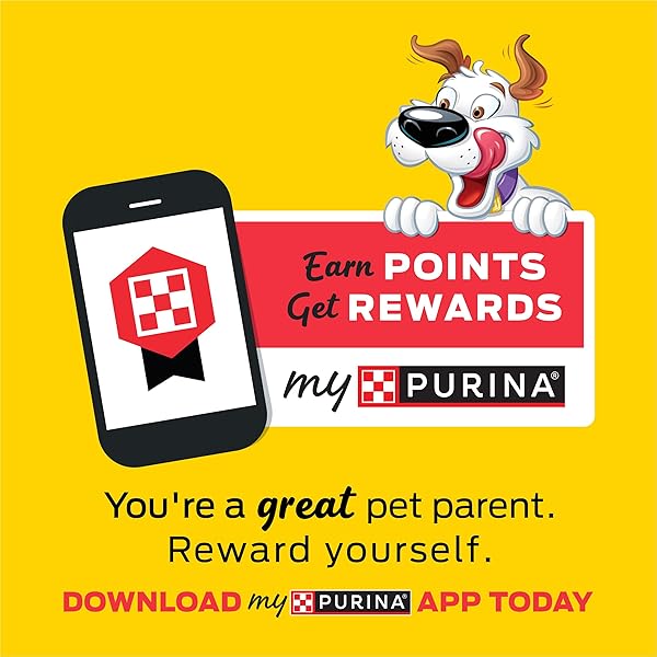 PURINA BEGGIN’ STRIPS WITH REAL MEAT DOG TREATS WITH BACON AND BEEF FLAVORS – 26 OZ. POUCH
