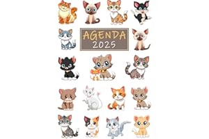 Agenda 2025 journalier A4 français: Planificateur journalier 12 mois | 1 Page par jour avec heure (janvier 2025 à décembre 20