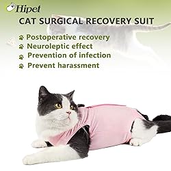 hipet Cat Surgery Recovery Suit for Abdominal