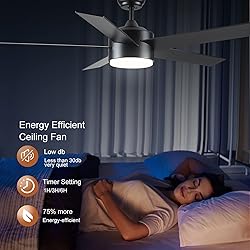 52 inch Black Ceiling Fans with Lights and Remote