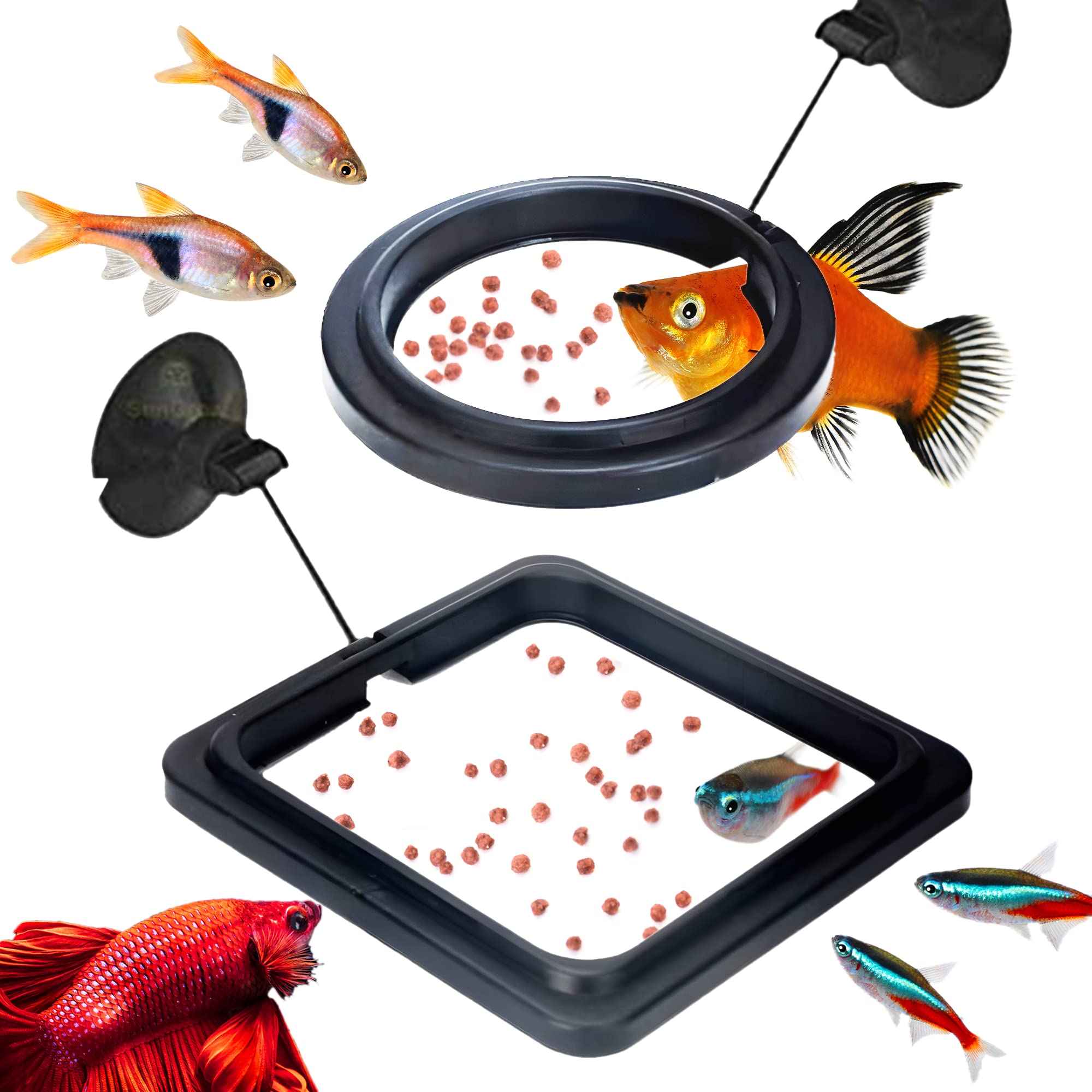 fish care accessories GreenJoy Aquarium Tank Cleaning Kit - 5 in 1 Algae Scraper Set 1 x plant fork Carp Fish Care Accessories |