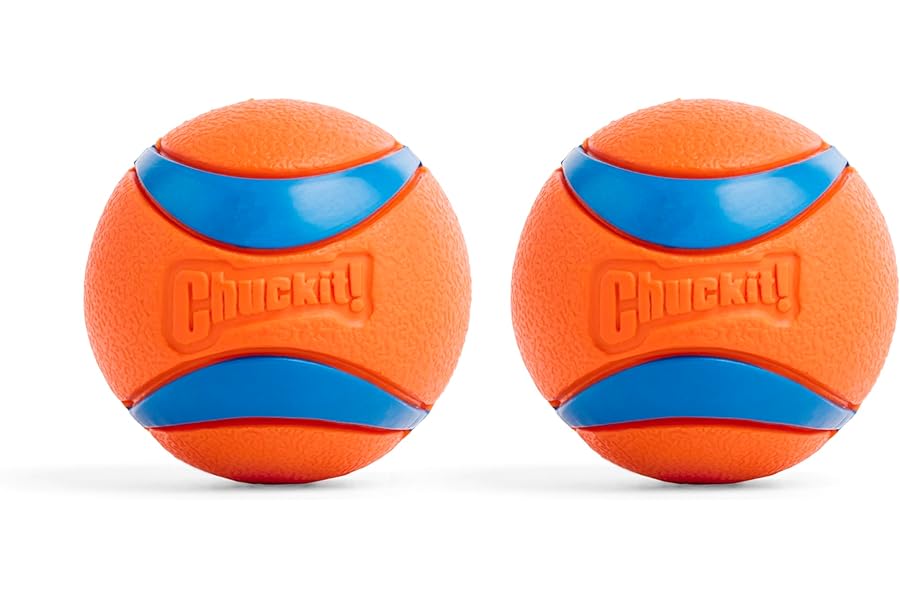 Chuckit! Ultra Ball Dog Toy - Medium Bouncy Fetch Balls For Dogs 20-60 lbs - Made from Durable Rubber - Floating Water Pet Toys - Size Medium - 2.5-inch Diameter - Pack of 2