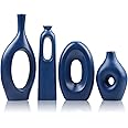 DACOSTIC Hollow Ceraic Vase Set of 2 for odern Hoe Decor , White