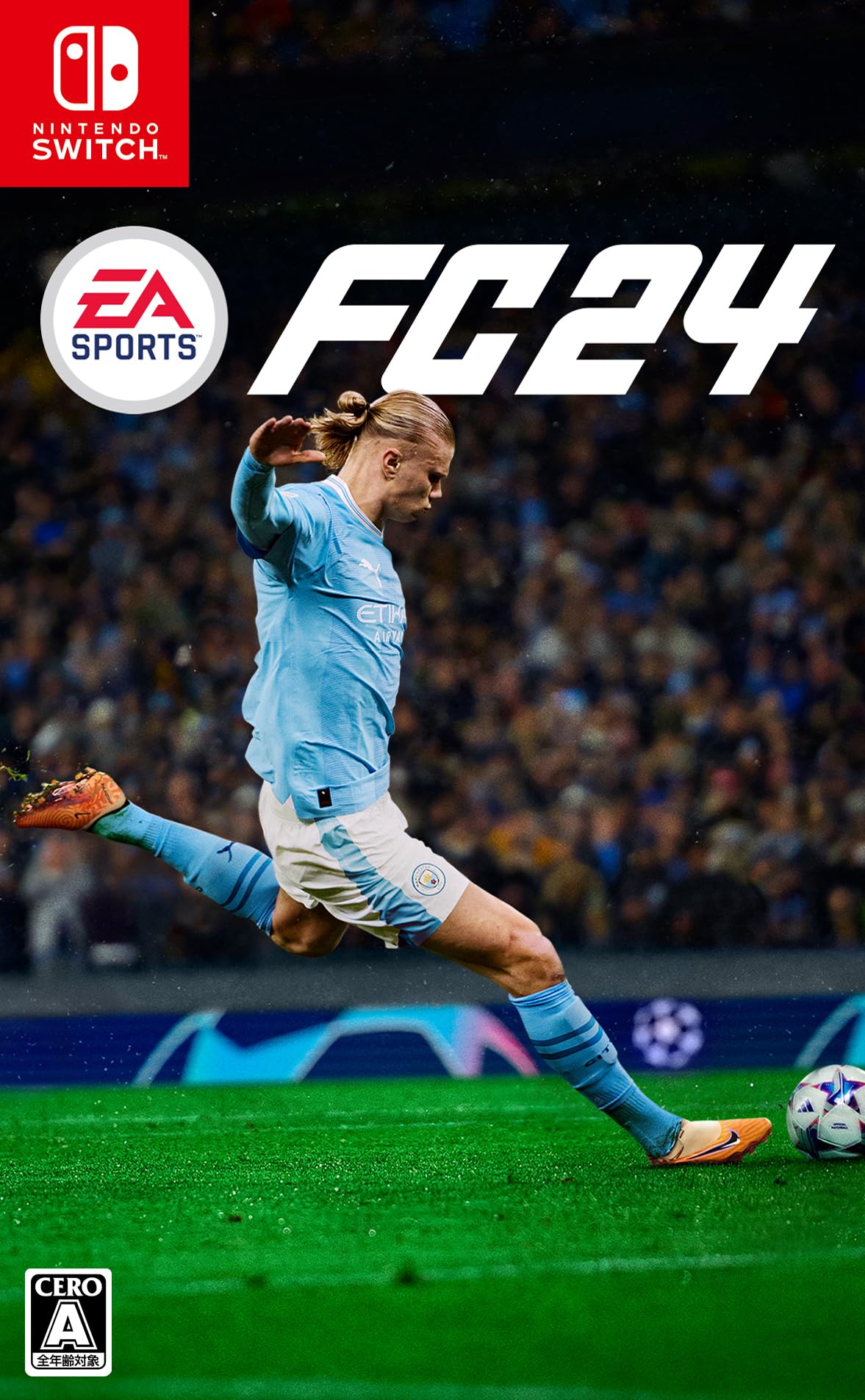 Electronic Arts EA SPORTS FC 24 Switch エレクトロニック・アーツの商品画像