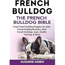 french bulldog puppies rescue