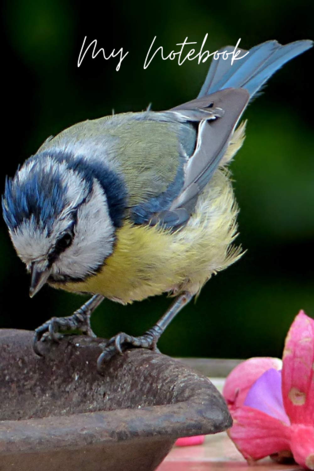 My Notebook: Blue Tit