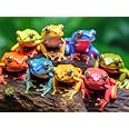 Macaron Palette Parade - 1000 Pieces Jigsaw Puzzle For...