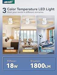 LEDIARY 30 Inch Small Ceiling Fan with Lights and