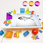 16" LED Light Box for Kids, Sensory Light Table, Portable Dimmable Tracing Light Box for Alphabet Learning, Translucent Toys, Rhinestone Art, Crafts &amp; Classroom (Orange, 10 Levels, 3 Color Modes)