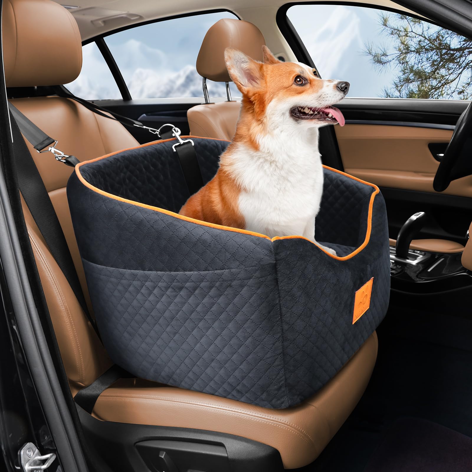 Photo 1 of XIEEAOZEE Dog Car Seat for Small Dogs, Memory Foam Booster Dog Seat for Dogs up to 35 lbs, Elevated Pet Car Seat with Washable Removable Cover, Storage Pockets (Black)