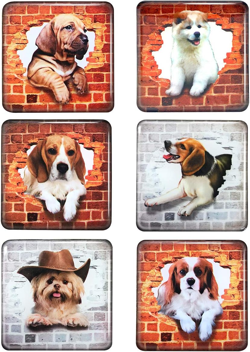 M MORCART Set of 6 Fridge Magnets Whiteboard Magnets dog fridge magnets For Kitchen Refrigerator, Whiteboard, Photos, Home Decoration,Suitable for Kids
