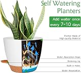 CSYY 7 Pack Self Watering Plant Pots Indoor Outdoor 20.3-12.7cm White view 4