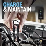 Ring SMARTCHARGE 1A Car Charger & Maintainer with Crocodile Clips view 6