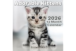 Canadian 12-Month Wall Calendar - 100% Biodegradable 11x17 Inch Open - Canadian Holidays in English & French - 2026 Monthly C